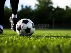 圣保利昨日,大捷,防线稳固却,开元娱乐官网,开元棋牌试玩,开元娱乐APP