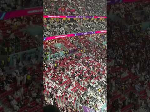 王钰栋双响,领跑中超射,专家深度解,开元娱乐官网,开元棋牌试玩,开元娱乐APP